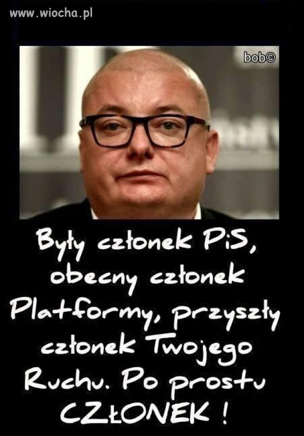 Członek 