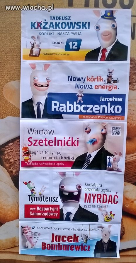 Legnickie wybory samorządowe 2014