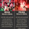 Jak to szło? TU JEST POL-SKA, NIE BRUK-SELA...!