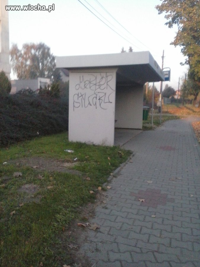 Przystanek odmalowany kilka dni temu...