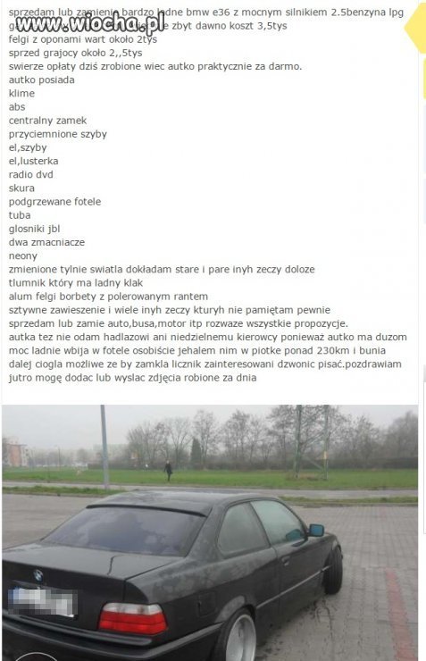 Mistrz ortografii