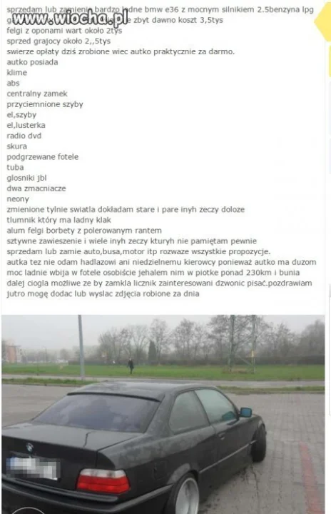 Mistrz ortografii