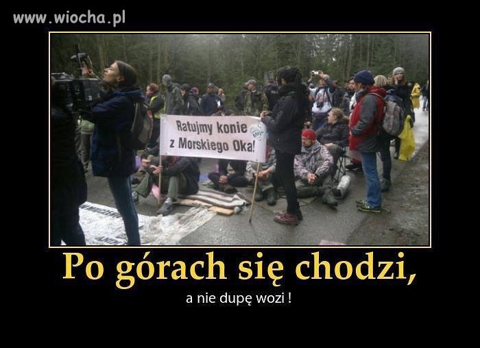 W tym przypadku zgadzam się