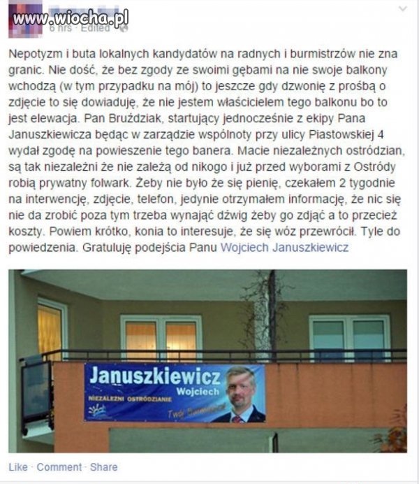 Wybory cebulaków