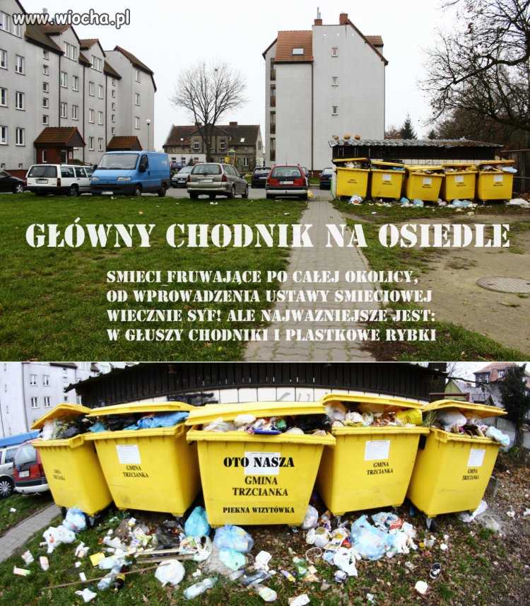 Segregujcie śmieci, będzie fajne mówili...