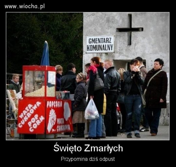 Wiocha 