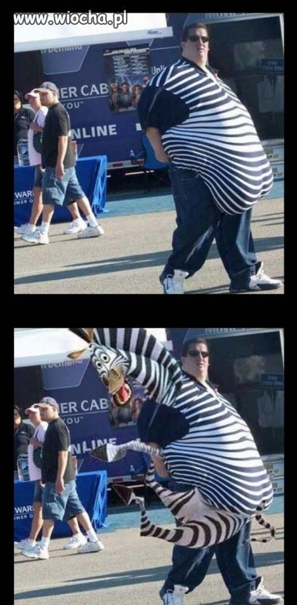 Człowiek zebra