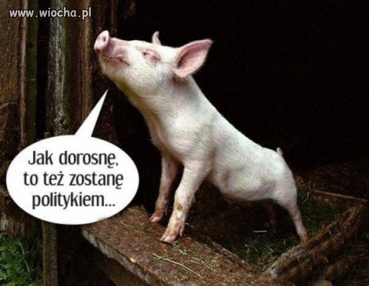 Z każdym utworzy koalicję.