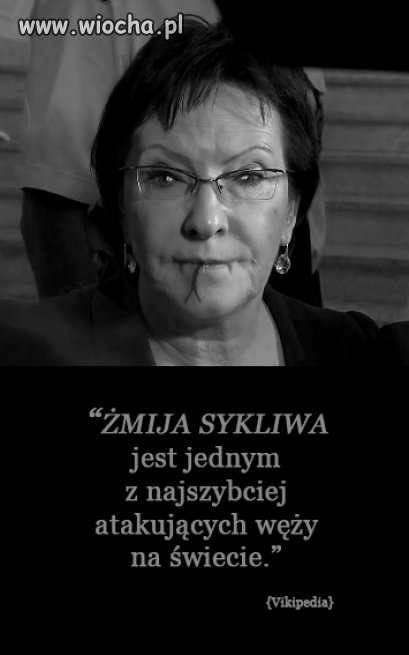 Teściowa Narodu PO-lskiego