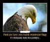 Niestety ale trzeba przyznać