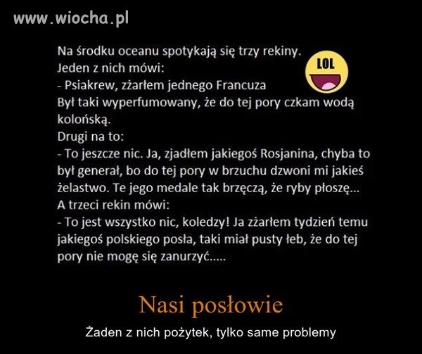 NIBY DOWCIP