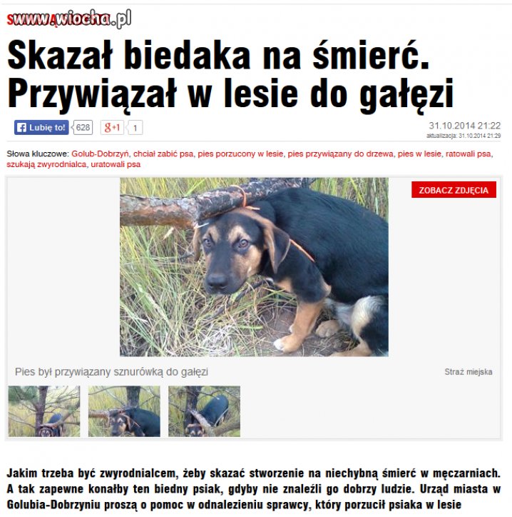 Jakim skur..synem trzeba być?