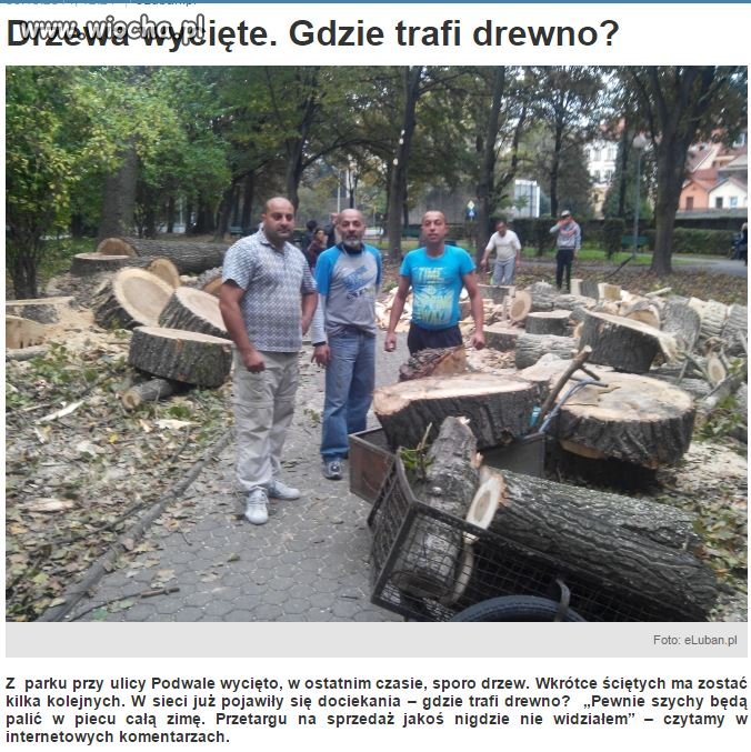 Polak drzewo na opał kupuje. Cygan dostaje.