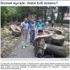 Polak drzewo na opał kupuje. Cygan dostaje.