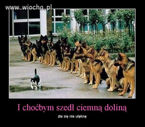 I choćbym...