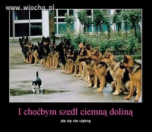 I choćbym...