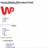 Strona WP po włączeniu dodatku blokującego reklamy