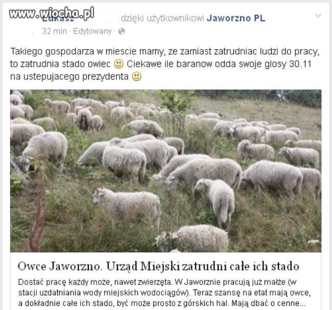 Młode pokolenie PO