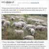 Młode pokolenie PO