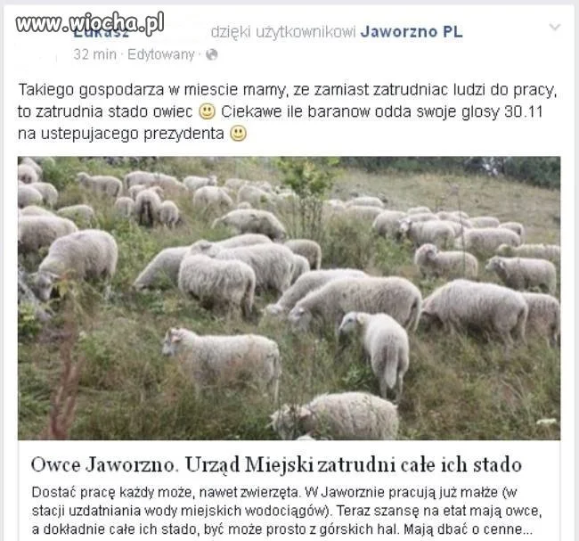 Młode pokolenie PO