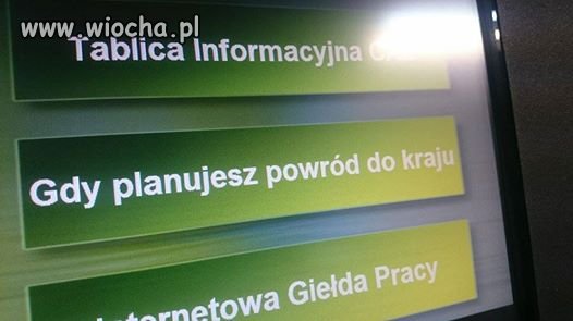 Powród 