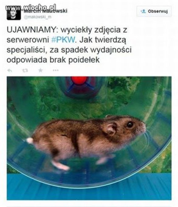 Prawdziwe powody klęski 