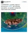 Prawdziwe powody klęski 