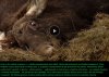 Urzędnicy. Komu oni potrzebni?