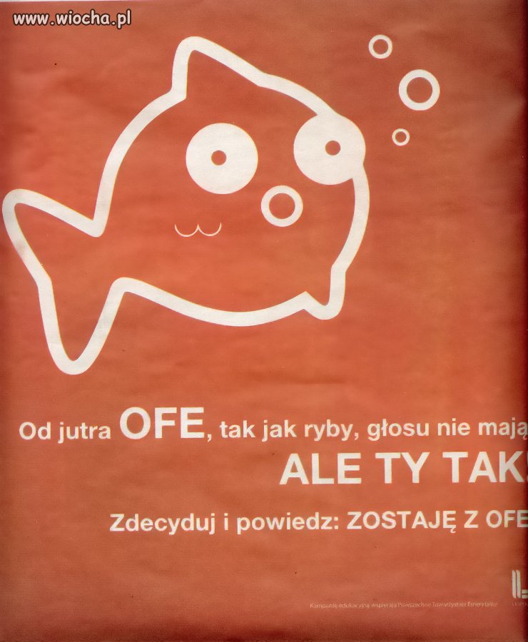 Ryby i Polacy głosu nie mają 