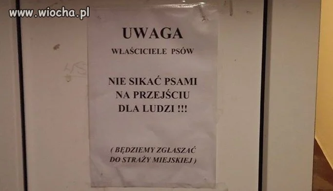 Sikanie 
