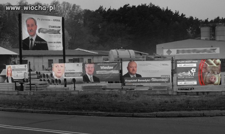 Konkurs na najbardziej rozpoznawalną twarz