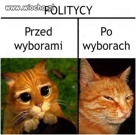 Politycy 