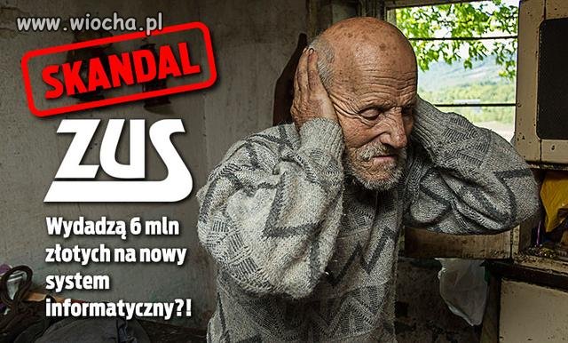 No złodzieje 
