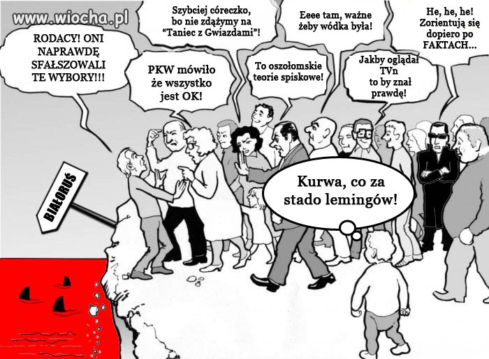 WYBORY 2014