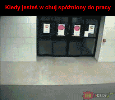 Na skróty