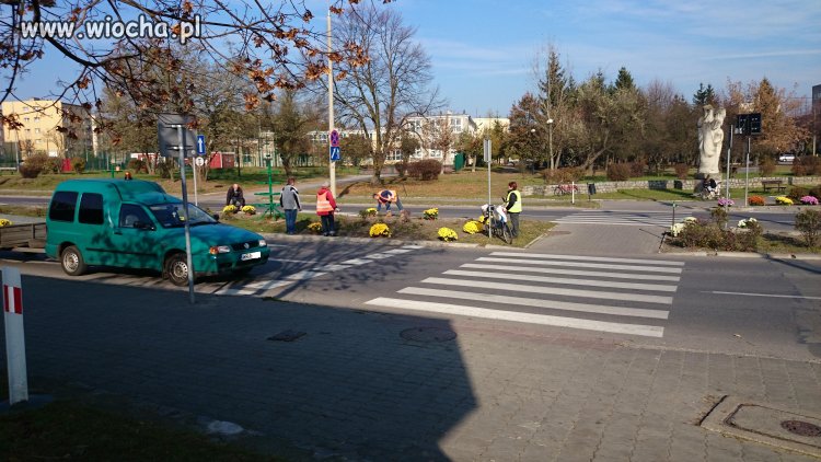 4.11.2014 - odpowiednia pora na sadzenie kwiatów