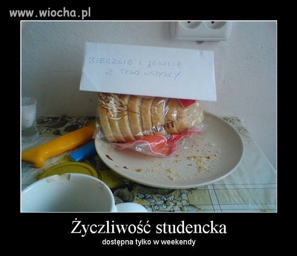 Polscy studenci 