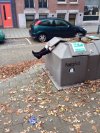 Sama tam wlazła
