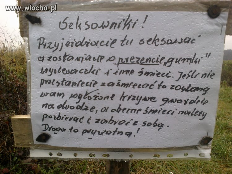 Seksowniki! 