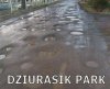 Dziurasik Park