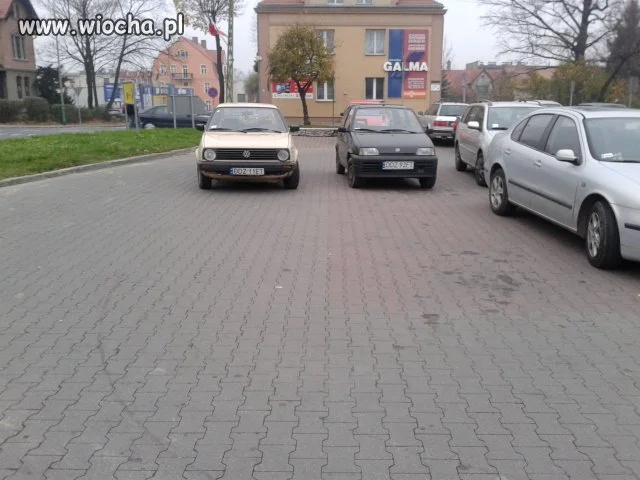 Mistrz parkowania
