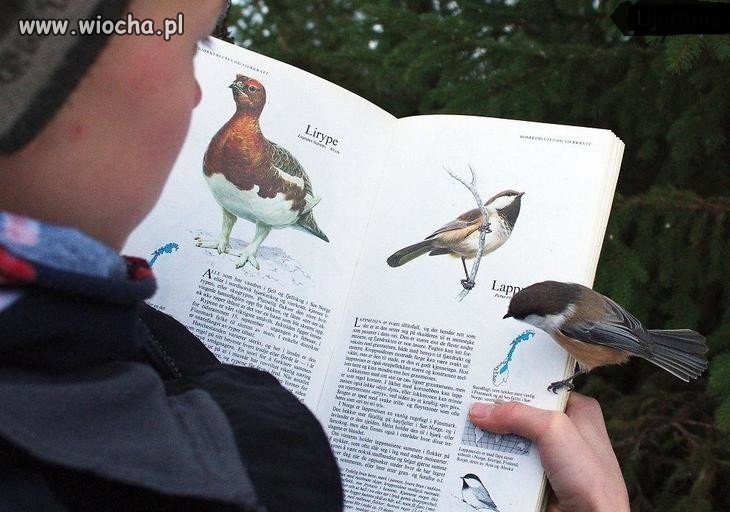 To co oni tam o mnie piszą człeku?