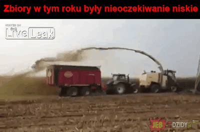 Zbiory w tym roku jakieś słabe