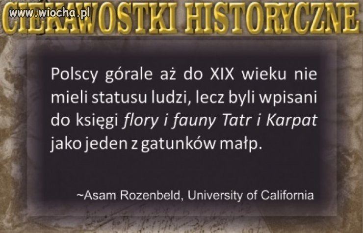 To jakaś przesada.