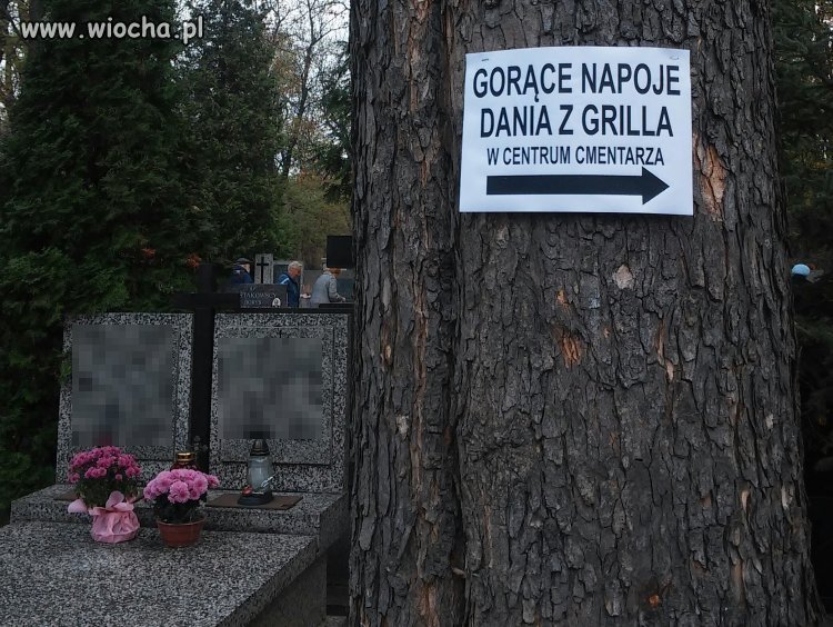 Co drugie drzewo na cmentarzu z taką kartką