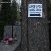 Co drugie drzewo na cmentarzu z taką kartką