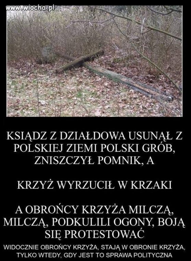 Gdzie jest PIS!!! Gdzie jest PIS!!!