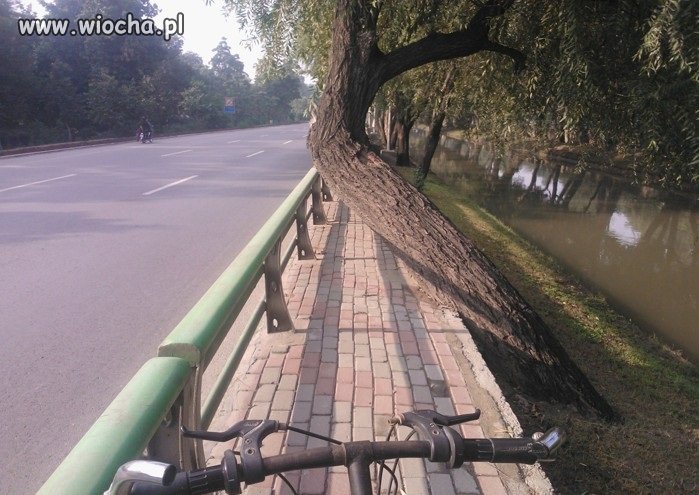 Pomysłowa ścieżka rowerowa.