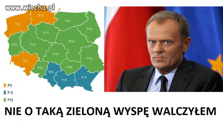 Wybory 2014