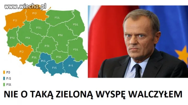Wybory 2014